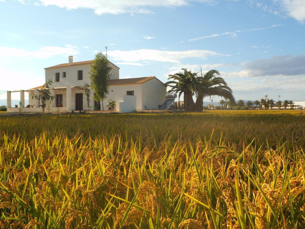 Hostal Más dels bonos Deltebre Exterior foto